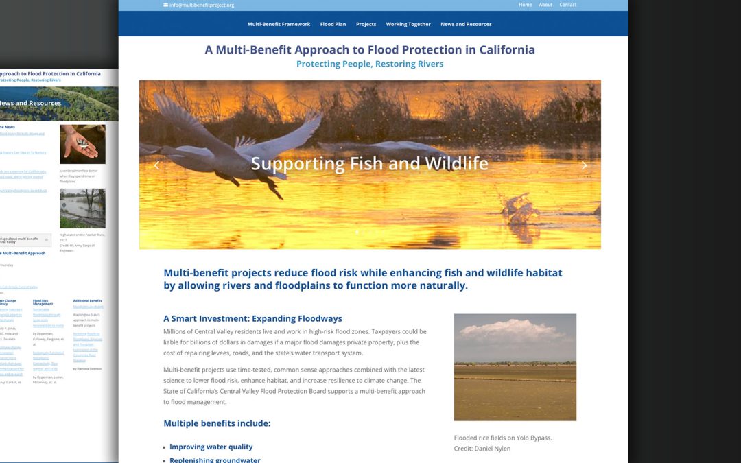 Multi-benefit Projects